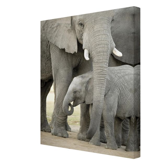 Billeder moderne Elephant Love