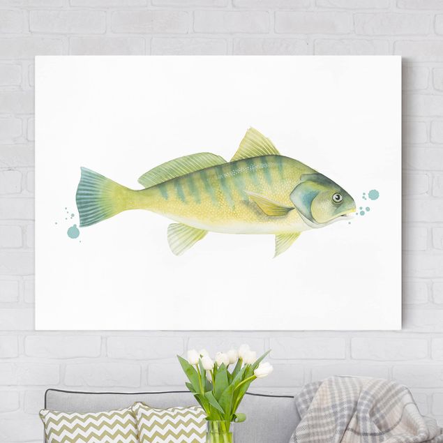 Billeder på lærred fisk Color Catch - Perch