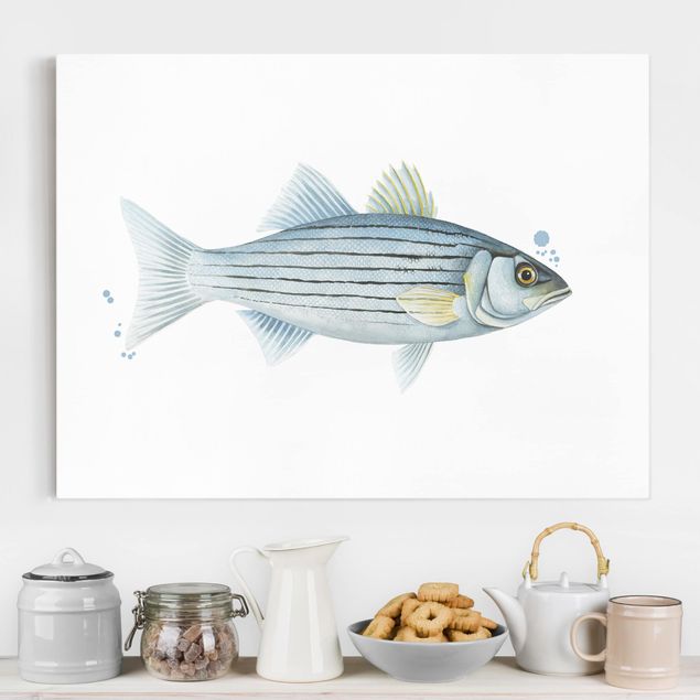 Billeder på lærred fisk Color Catch - White Perch