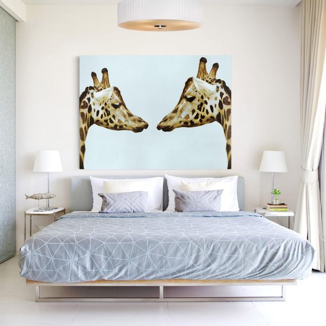 Billeder giraffer Giraffes In Love