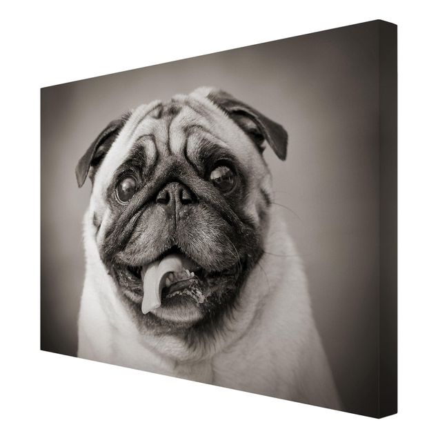 Billeder på lærred sort og hvid Funny Pug