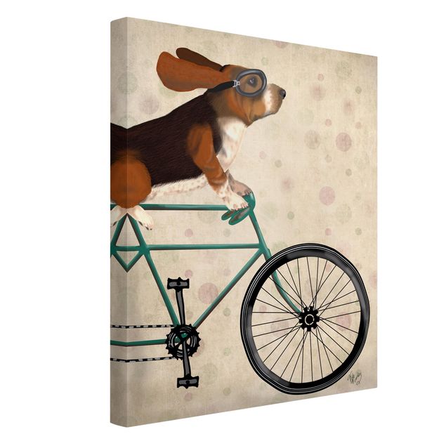 Billeder hunde Cycling - Basset On Bike