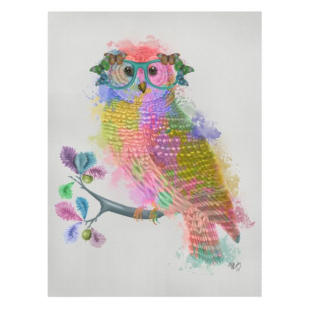 Billeder Rainbow Splash Owl