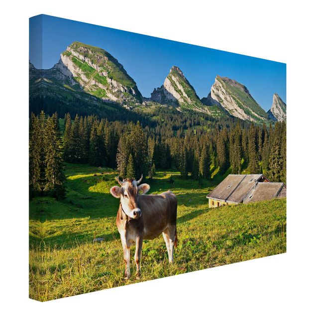 Billeder træer Swiss Alpine Meadow With Cow