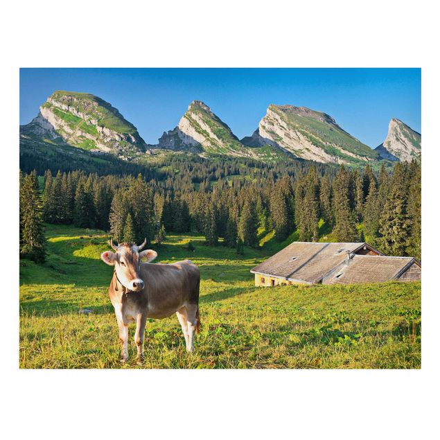 Billeder bjerge Swiss Alpine Meadow With Cow