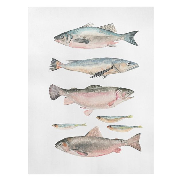 Billeder moderne Seven Fish In Watercolour I