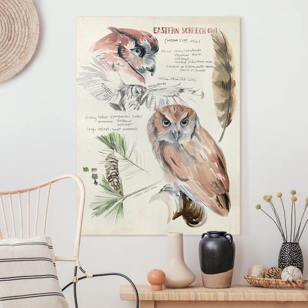 køkken dekorationer Wilderness Journal - Owl