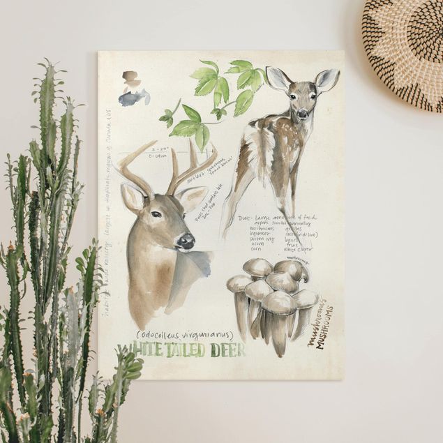 køkken dekorationer Wilderness Journal - Deer