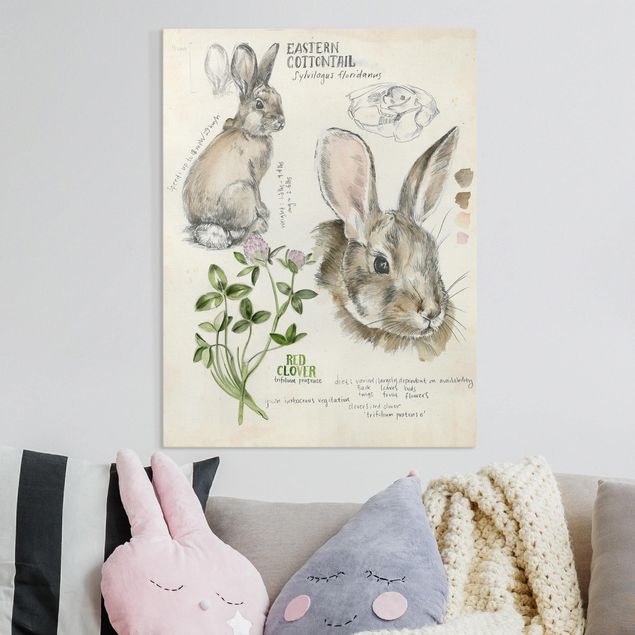 Billeder på lærred blomster Wilderness Journal - Rabbit