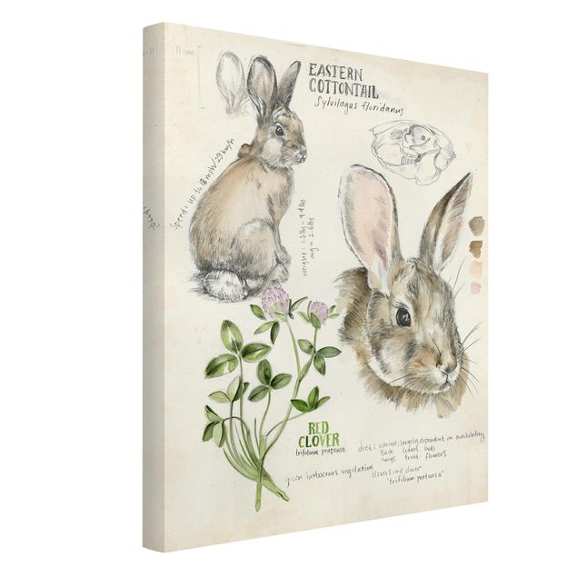 Billeder blomster Wilderness Journal - Rabbit