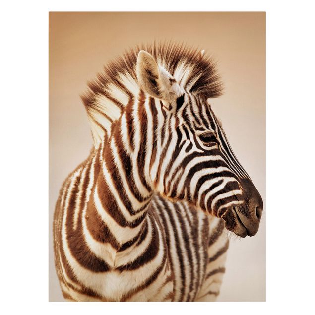 Billeder på lærred dyr Zebra Baby Portrait