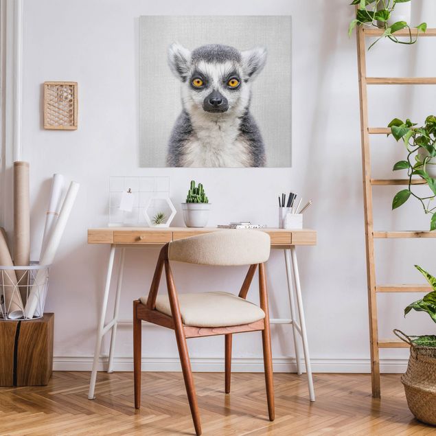 Billeder aber Lemur Ludwig