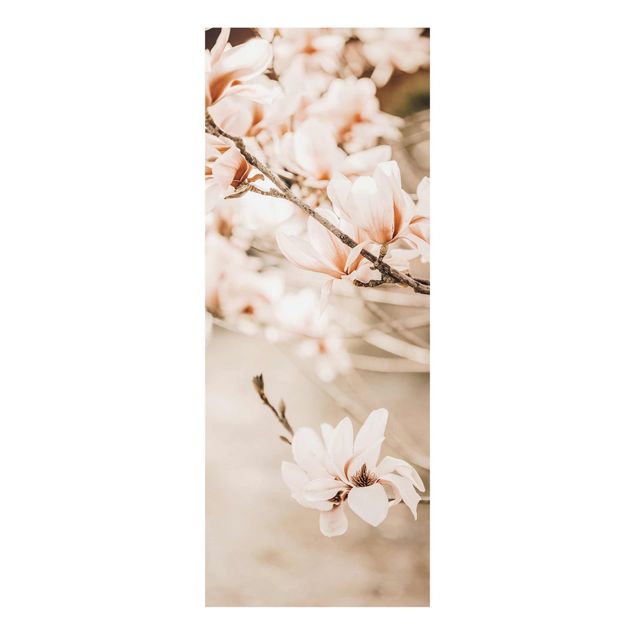 Billeder natur Magnolia Twig Vintage Style