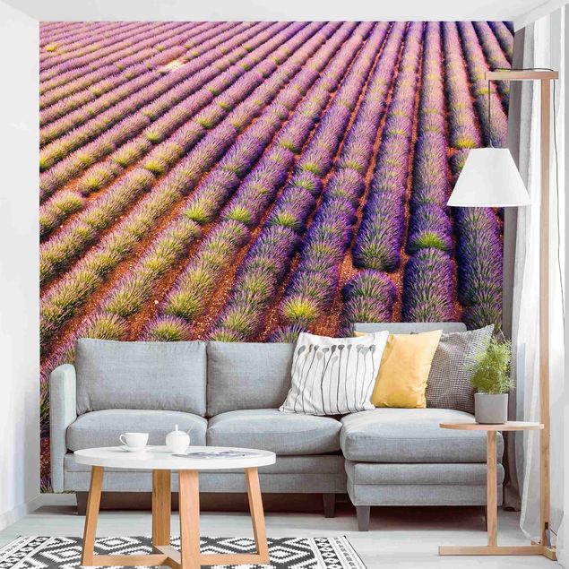 køkken dekorationer Picturesque Lavender Field