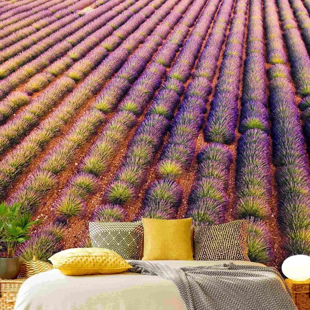 Moderne tapet Picturesque Lavender Field