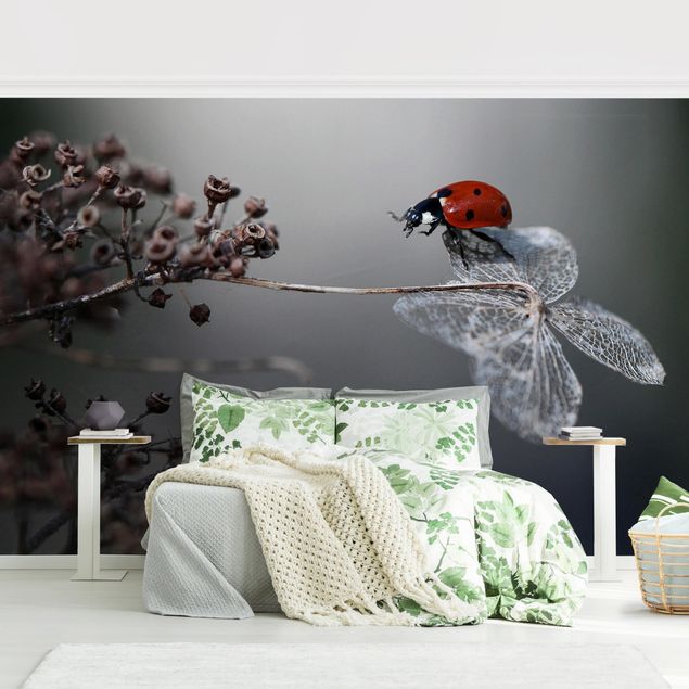 Moderne tapet Ladybird On Hydrangea