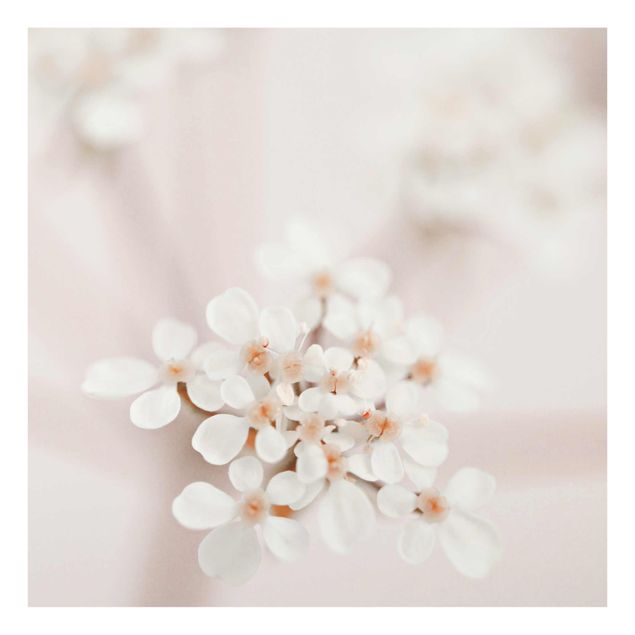 Billeder Monika Strigel Mini Flowers In Pink Light