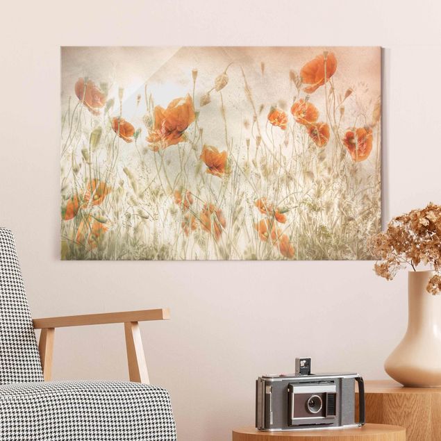 Glasbilleder valmuer Poppy Flowers And Grasses In A Field