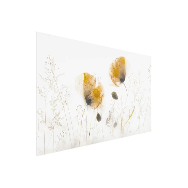 Glasbilleder blomster Poppy Flowers And Delicate Grasses In Soft Fog
