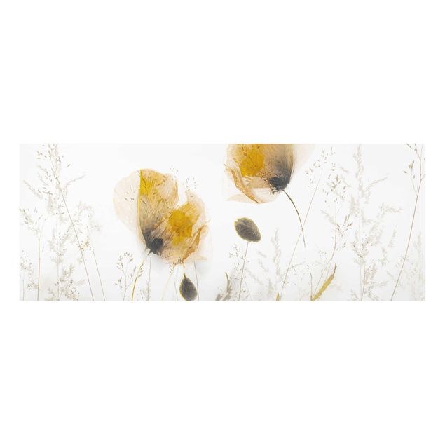 Billeder blomster Poppy Flowers And Delicate Grasses In Soft Fog