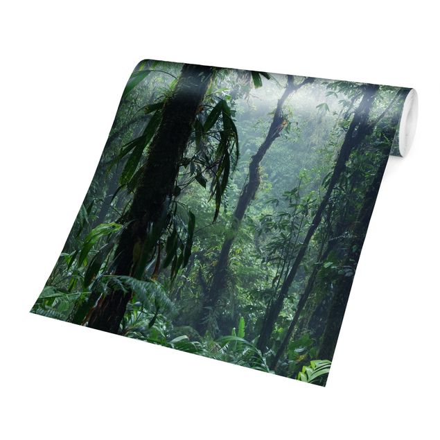 Fototapet grøn Monteverde Cloud Forest