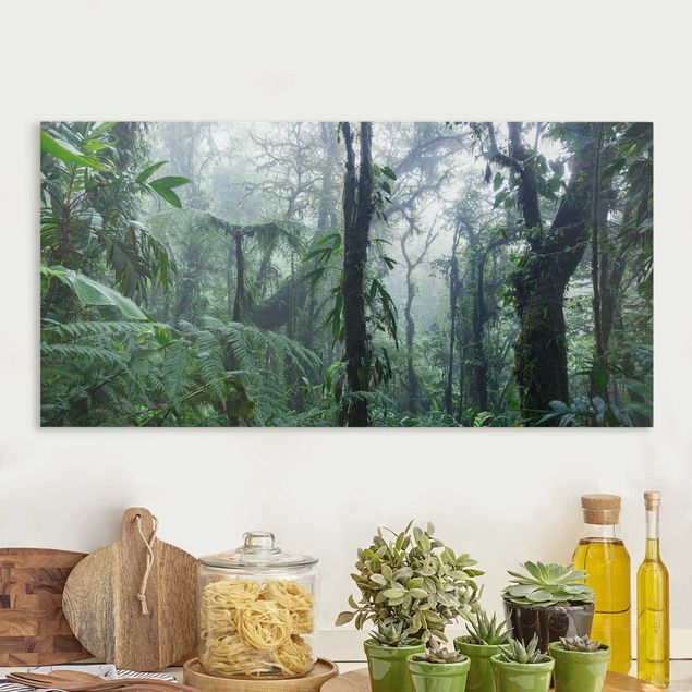 Billeder træer Monteverde Cloud Forest