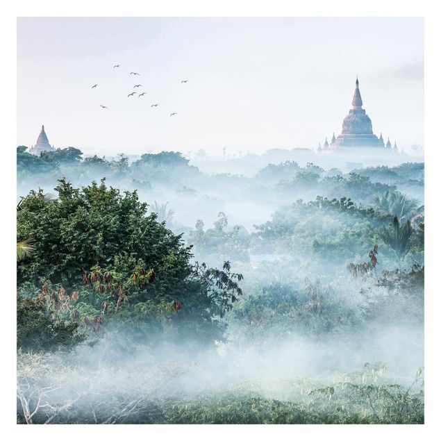 Tapet Morning Fog Over The Jungle Of Bagan