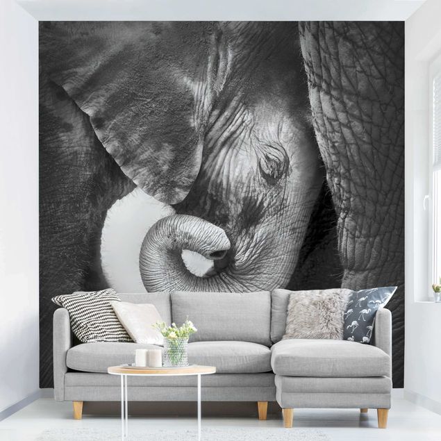 Tapet elefanter Mother's Love