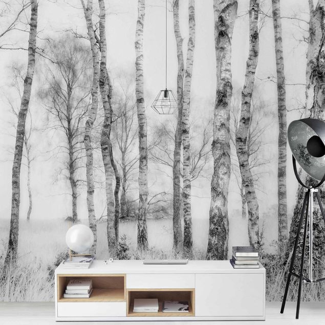Fototapet landskaber Mystic Birch Forest Black And White