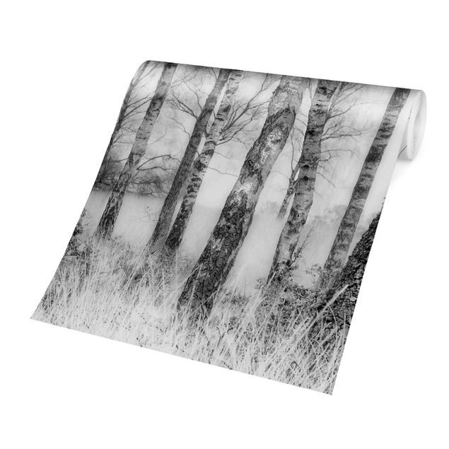 Tapet Mystic Birch Forest Black And White