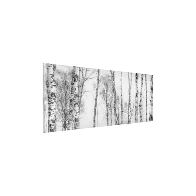 Billeder landskaber Mystic Birch Forest Black And White