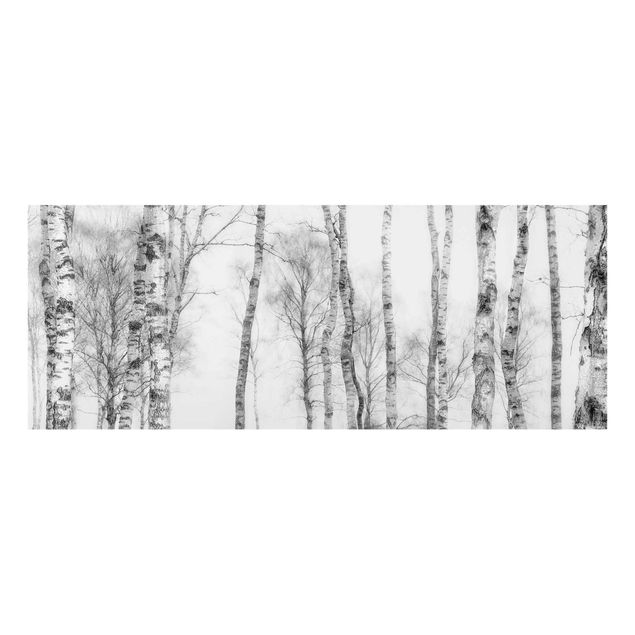 Glasbilleder sort og hvid Mystic Birch Forest Black And White