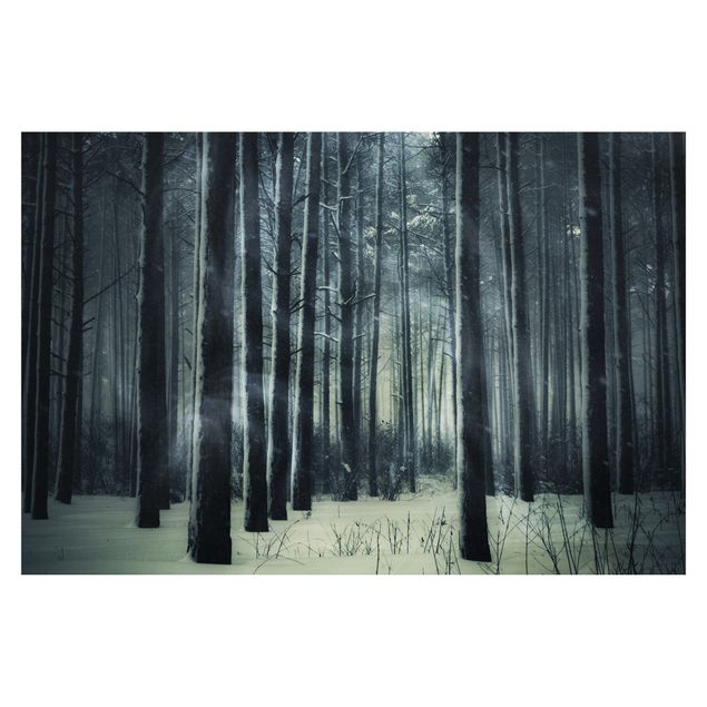 Tapet Mystical Winter Forest