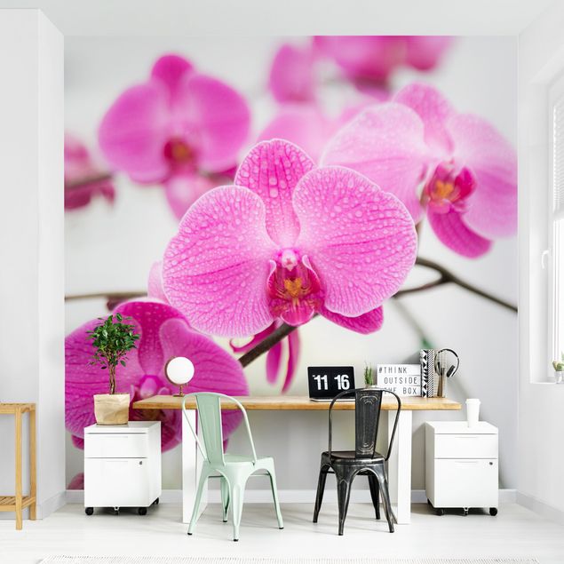 Moderne tapet Close-Up Orchid