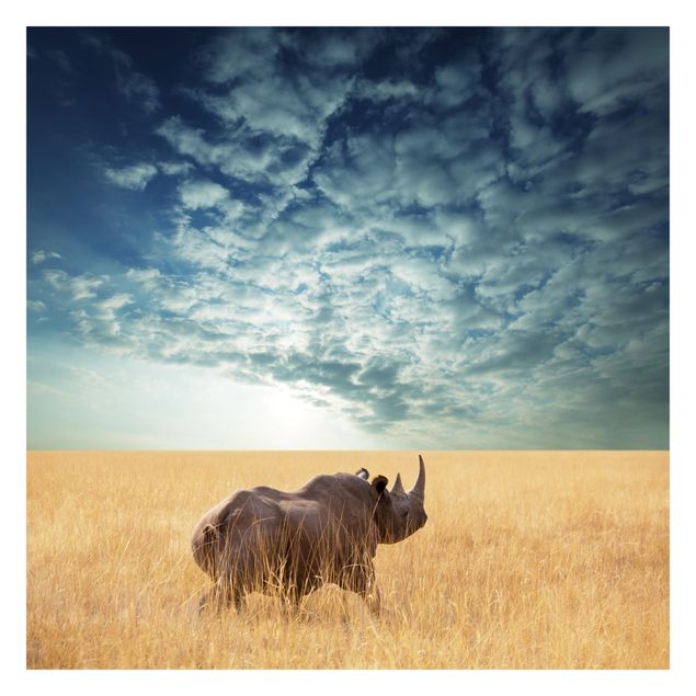 Fototapet landskaber Rhino In The Savannah
