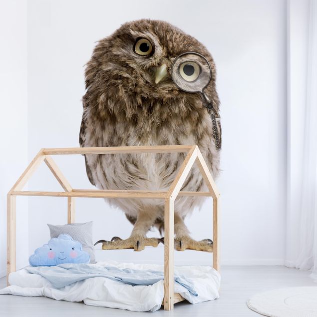 Børneværelse deco Curious Owl