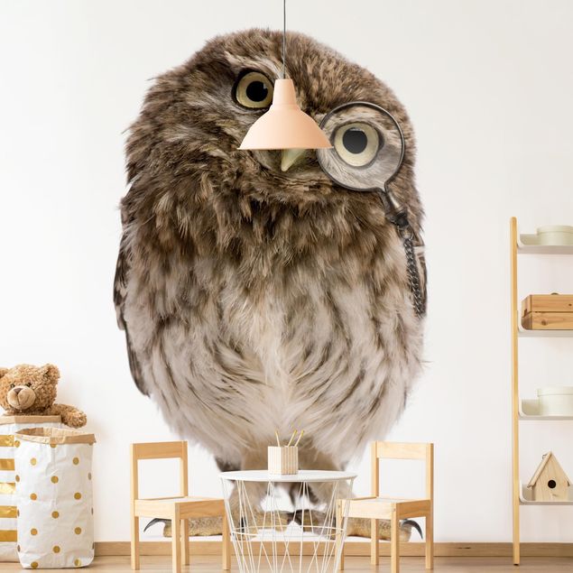 Tapet dyr Curious Owl