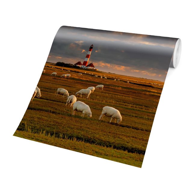 Fototapet landskaber North Sea Lighthouse With Flock Of Sheep