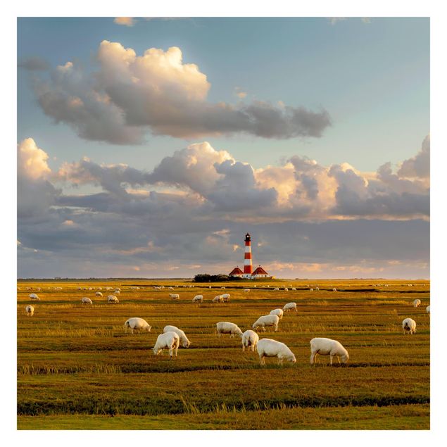 Strand tapet North Sea Lighthouse With Flock Of Sheep