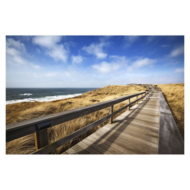 Fototapet landskaber Stroll At The North Sea