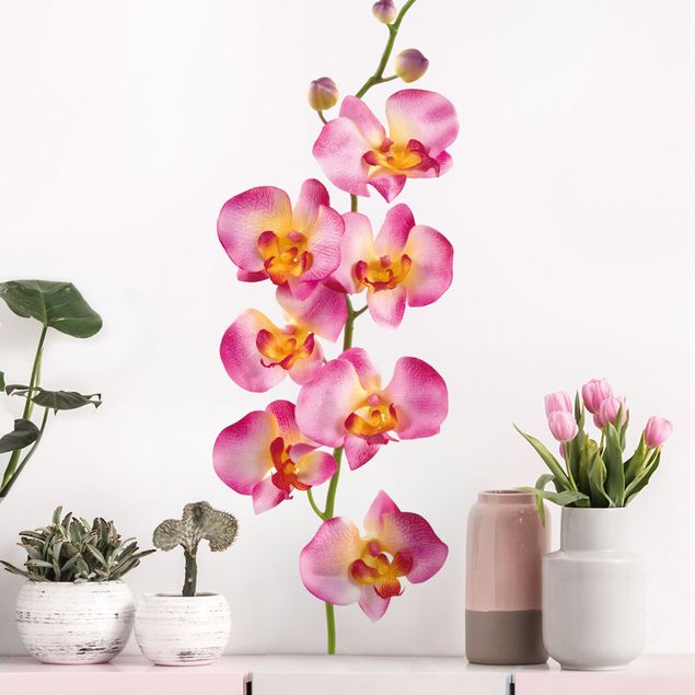 Wallstickers orkideer No.177 Orchid Rose II