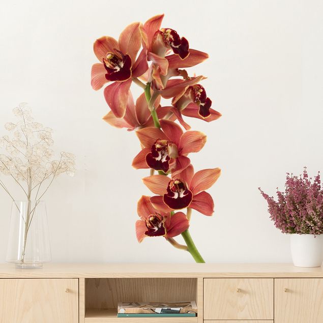 Wallstickers orkideer No.180 Orchid White Red II