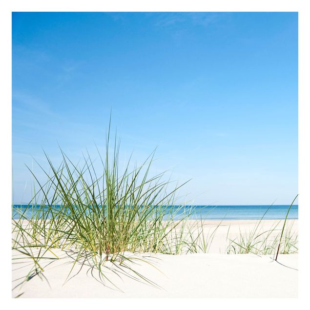 Fototapet landskaber Baltic Sea Coast