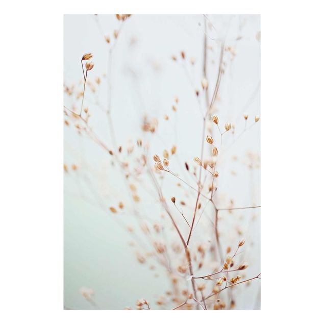 Billeder Monika Strigel Pastel Buds On Wild Flower Twig