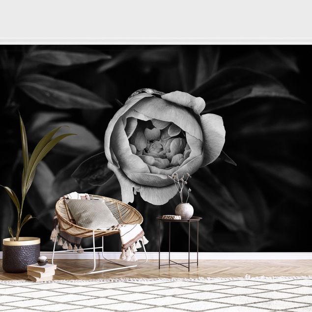 Tapet roser Peonies In Front Of Leaves Black And White