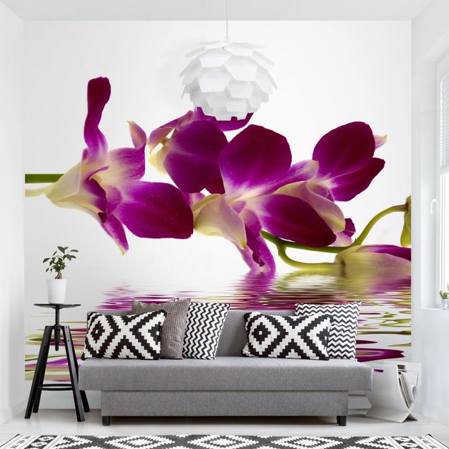 Fototapet orkideer Pink Orchid Waters