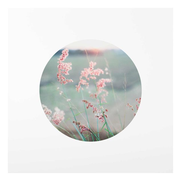 Billeder grøn Pink Flowers In A Circle