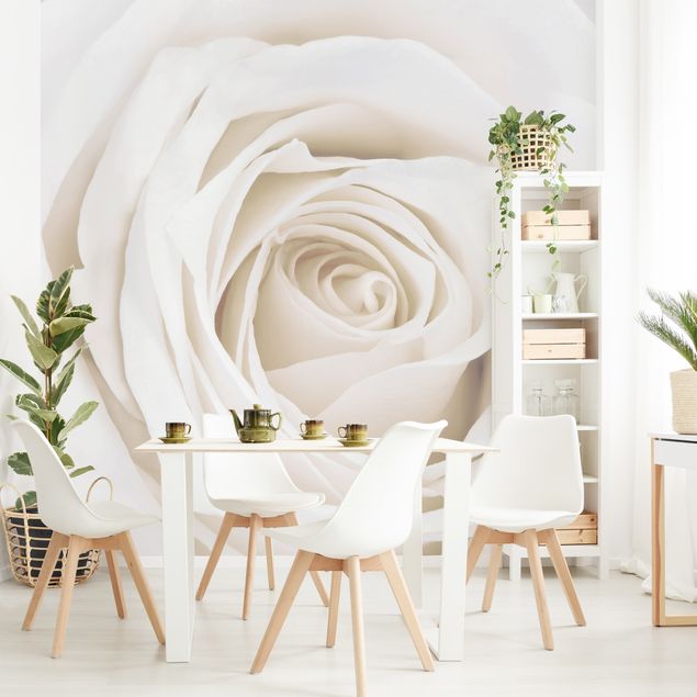 Blomster tapet Pretty White Rose
