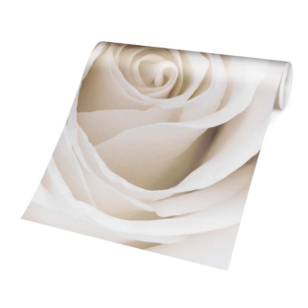 Moderne tapet Pretty White Rose