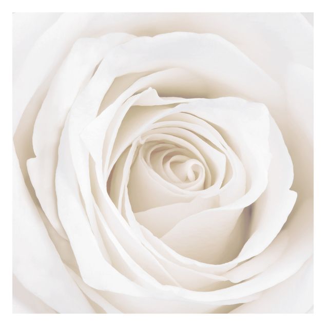 Tapet beige Pretty White Rose